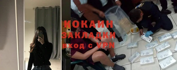ешки Гусев