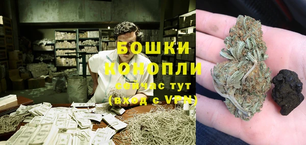 гашик Гусь-Хрустальный