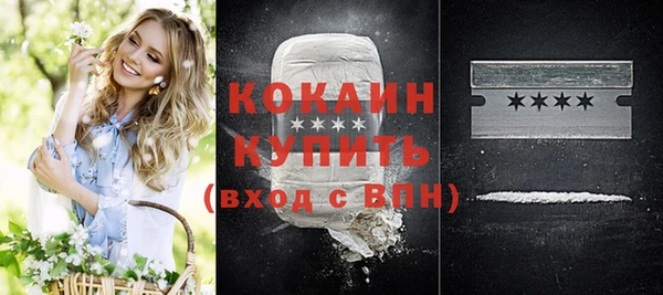 ешки Гусев
