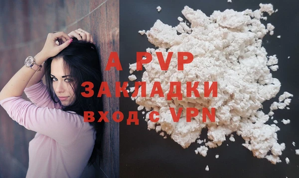 гашик Гусь-Хрустальный