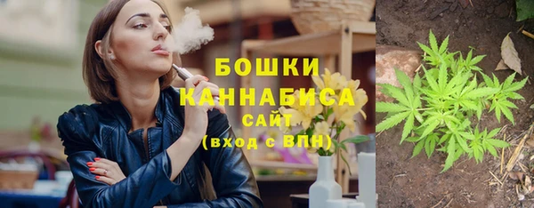 гашик Гусь-Хрустальный