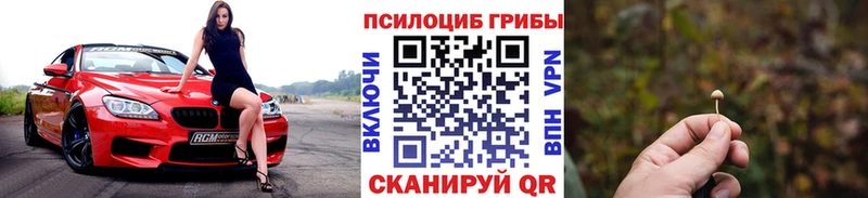Галлюциногенные грибы Psilocybine cubensis  Купить  Евпатория 